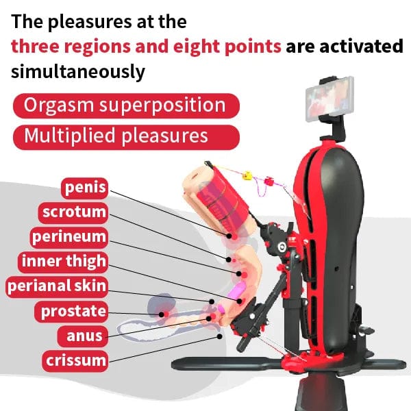 COMFY Automatic Prostate Massager Anal Pleasure Combo