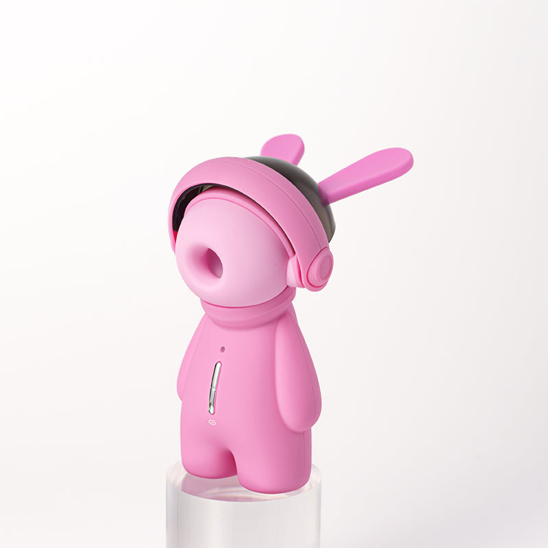 Fashion Ornaments Rabbit Clitoris Sucking Vibrator Set With Dust Cover
