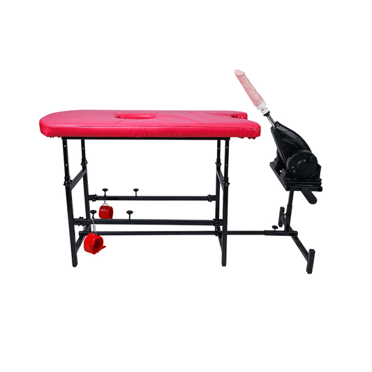 MizzZee 12-Frequency Dildo Machine Sex Chair Set