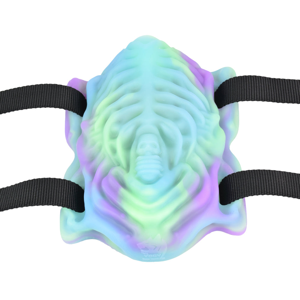 Beetle