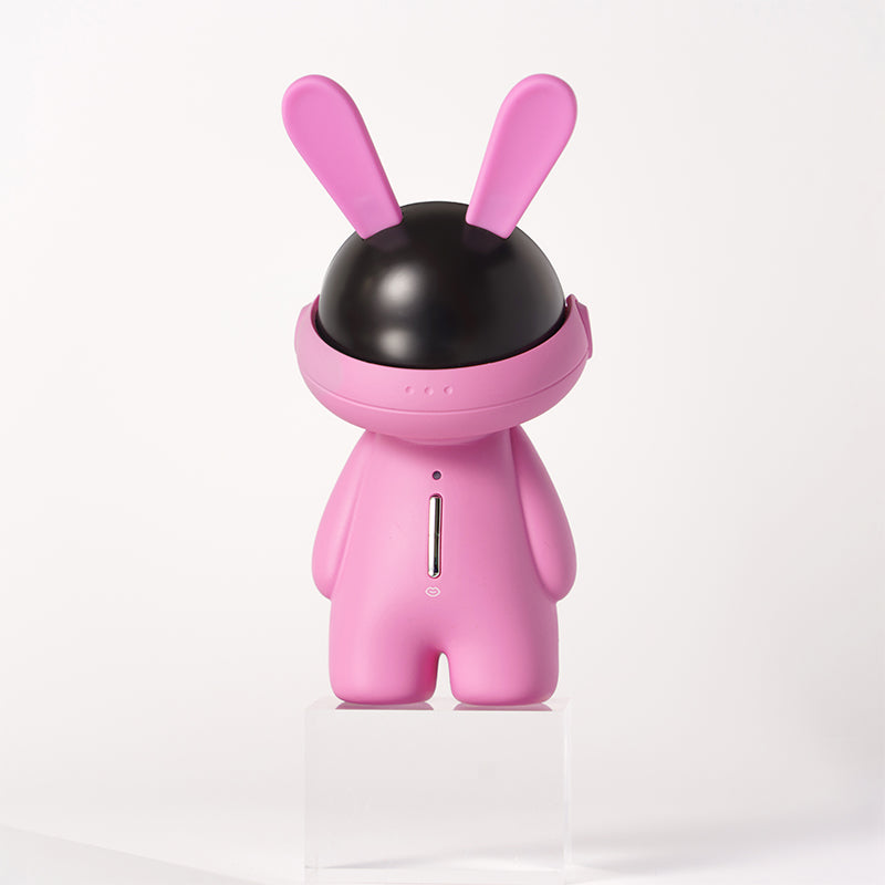 Fashion Ornaments Rabbit Klitoris Saugvibrator-Set mit Staubschutzhülle